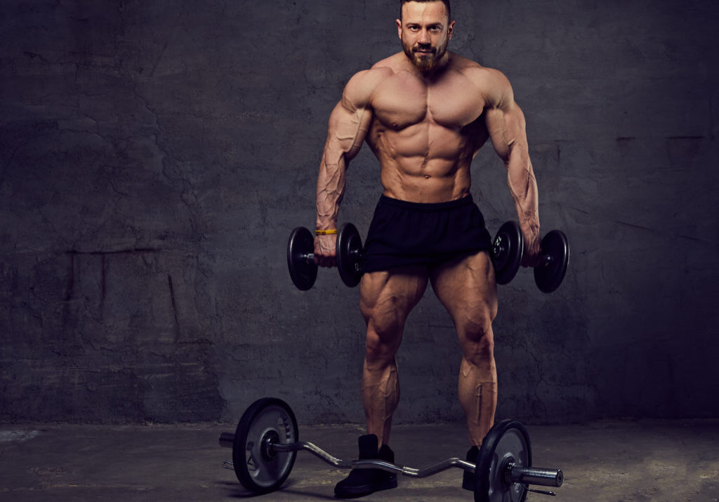 Athletic muscular, bearded male doing biceps workouts with dumbbells.
